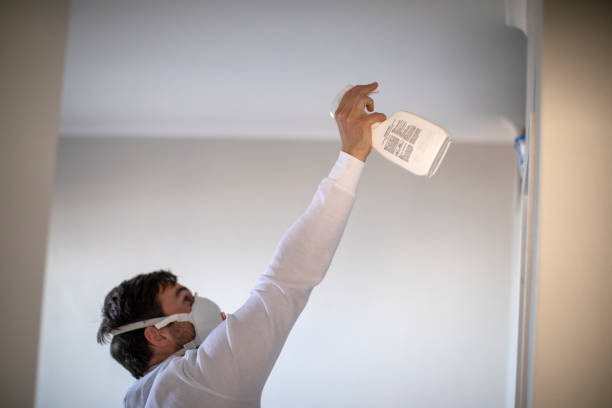Professional Mold Removal in Prairie View, TX