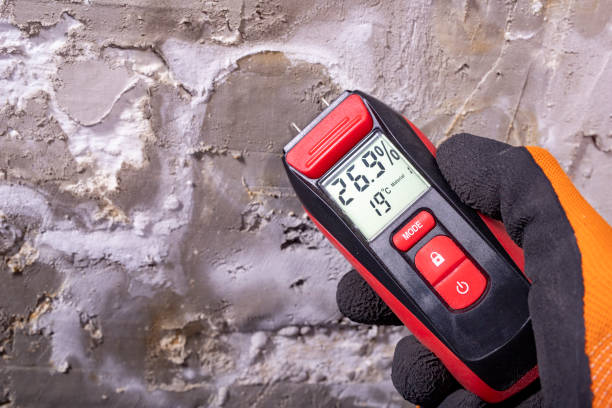 Office Mold Removal Services in Prairie View, TX