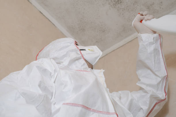Best Crawl Space Mold Removal  in Prairie View, TX