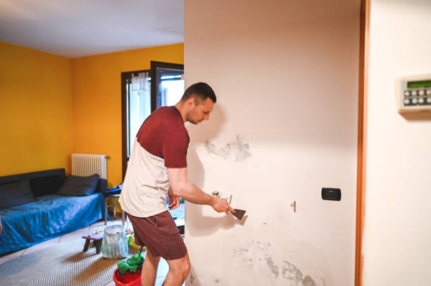 Best Black Mold Removal  in Prairie View, TX